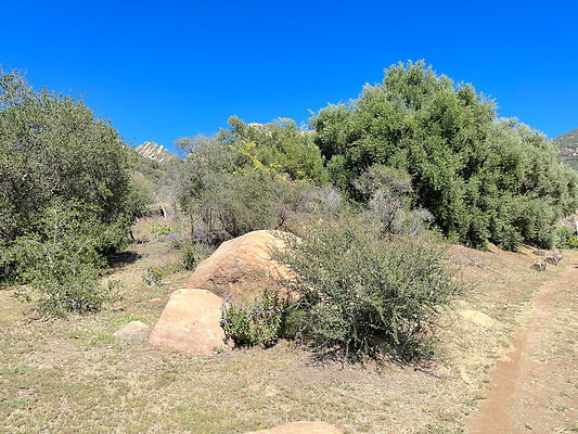 Caballo Ranch 103