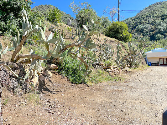 Caballo Ranch 29