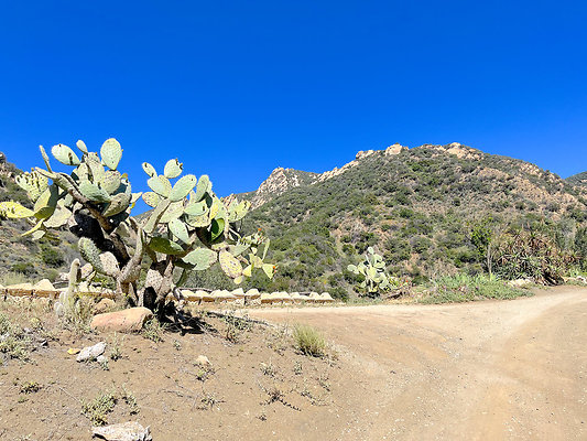 Caballo Ranch 50