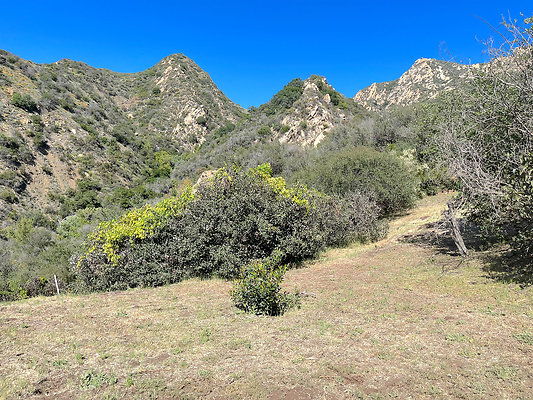 Caballo Ranch 107