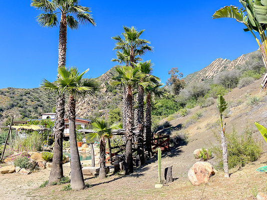 Caballo Ranch 90