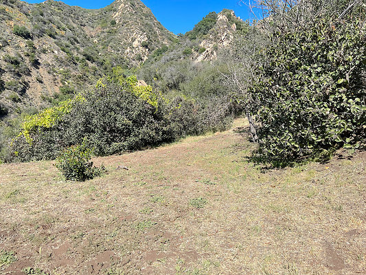 Caballo Ranch 106