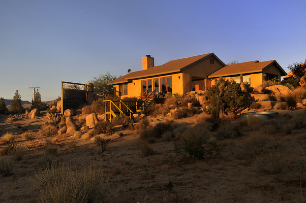OUT OF ZONE - Joshua Tree - 13065 - Cast
