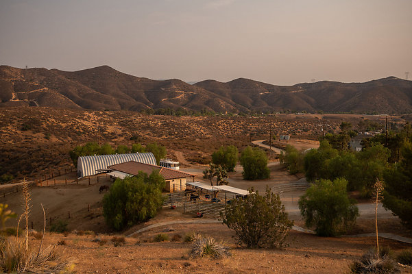 UNIVERSAL-B290-AGUADULCE-22