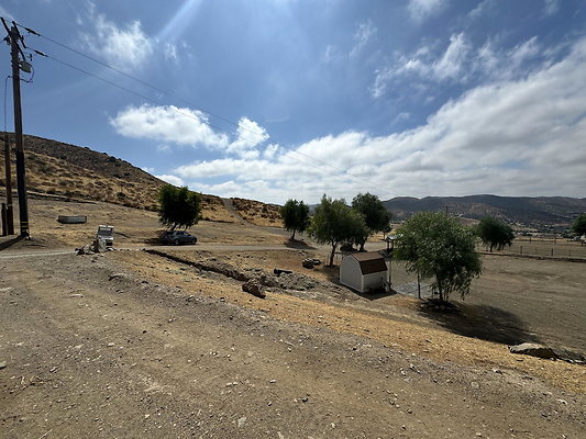 IMG 0343
