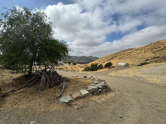 IMG 0318