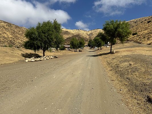 IMG 0369