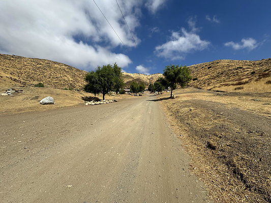 IMG 0370