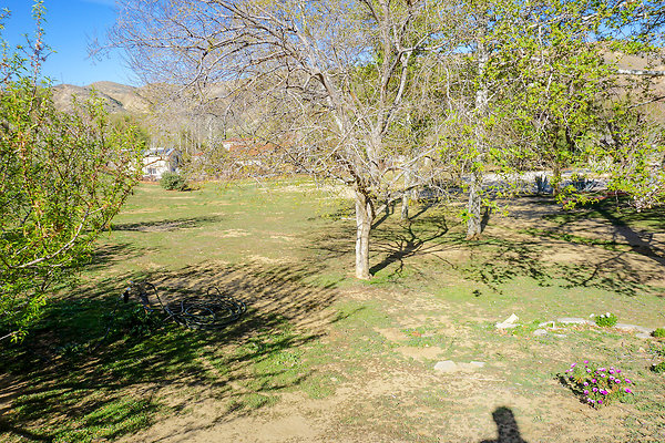 Clarita Cabin 42