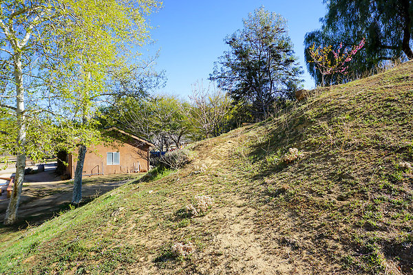 Clarita Cabin 41