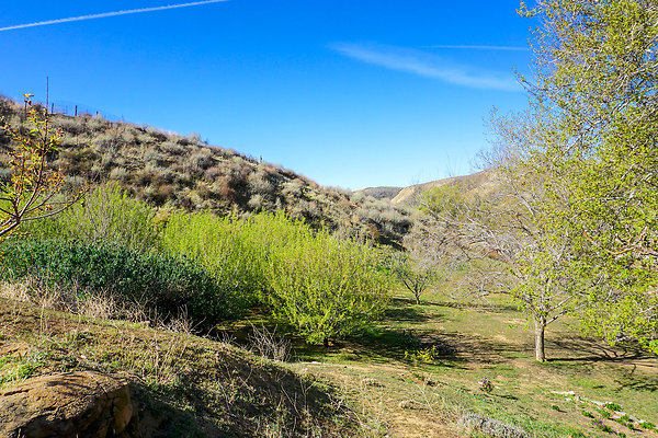 Clarita Cabin 46