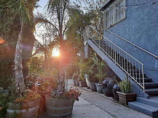 10991 patio 5