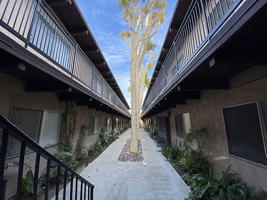 12414 courtyard 3