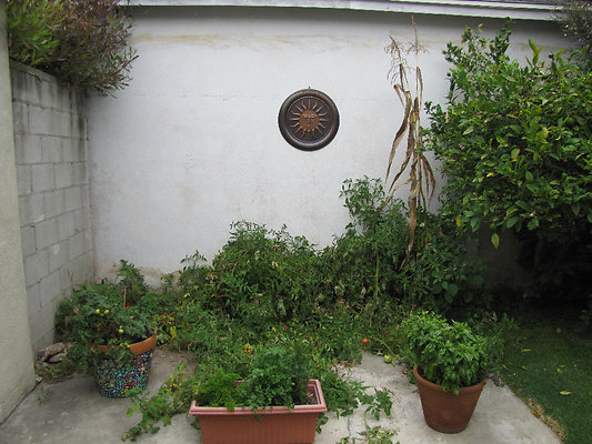 EW IMG 0883
