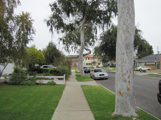 EW IMG 0790