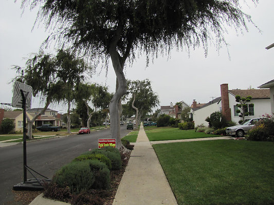 EW IMG 0789