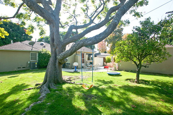 Backyard 0080 1