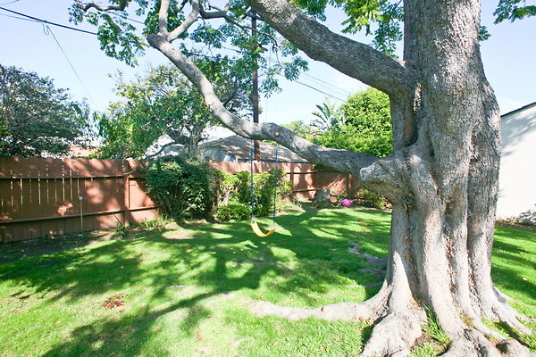 Backyard 0084 1
