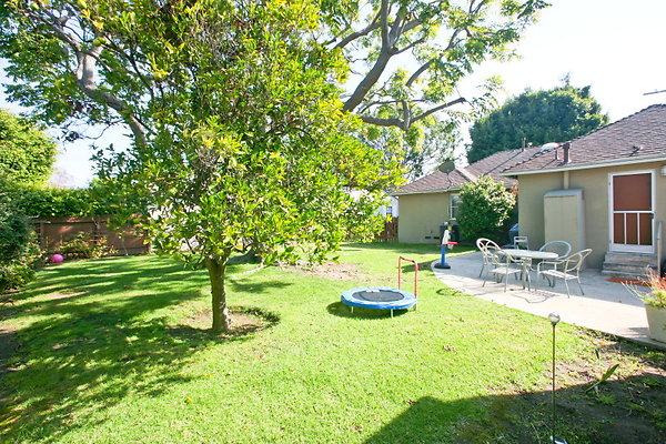 Backyard 0081 1