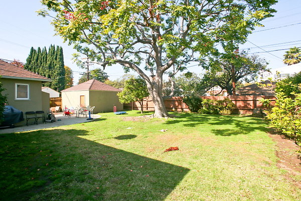 Backyard 0083 1