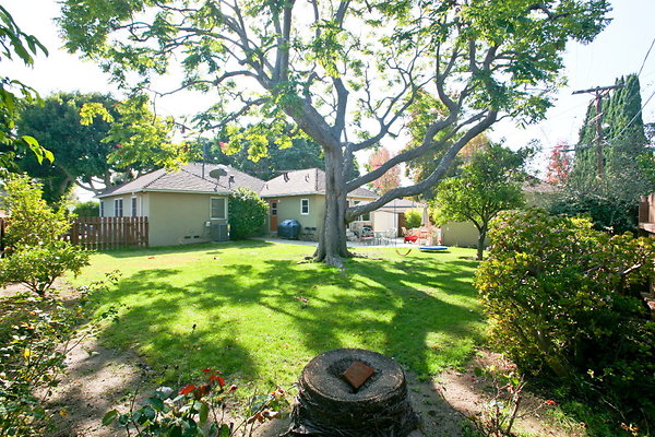 Backyard 0079 1