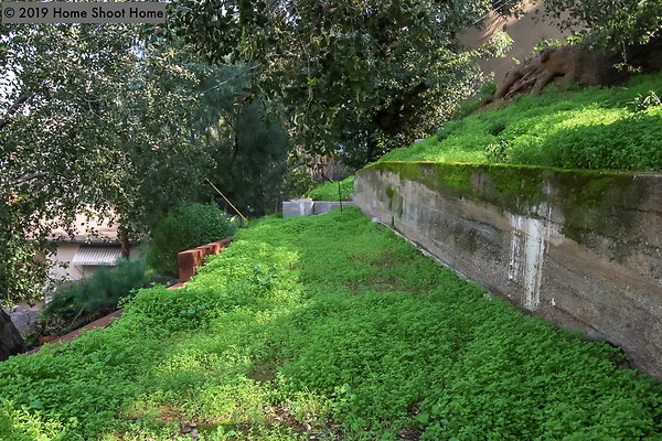 47upper-backyard