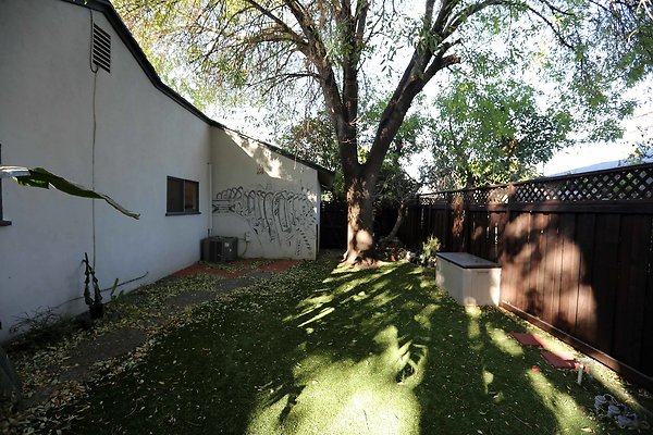 452A Backyard 0030