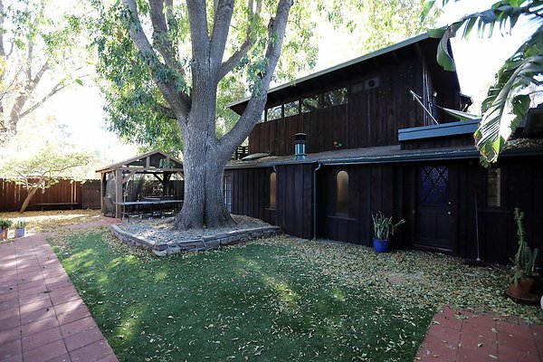 452A Backyard 0029