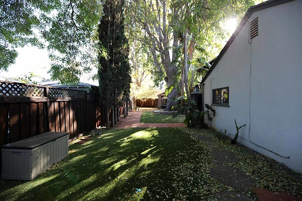 452A Backyard 0032
