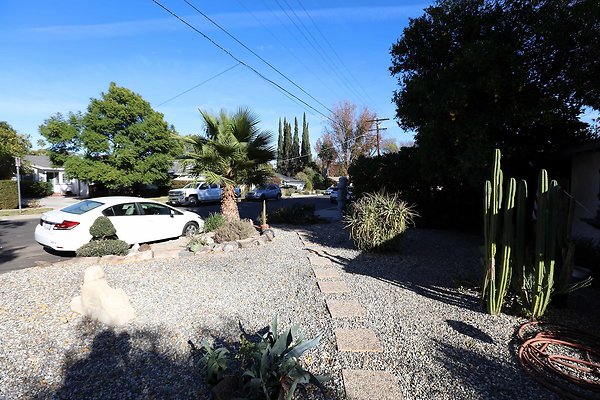 452A Front Path 0008
