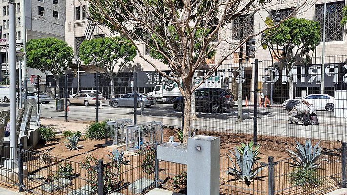 Spring St Park (2)