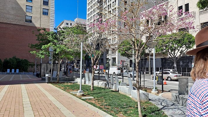 Spring St Park (6)