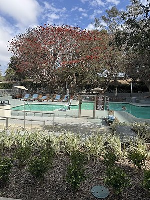 Hilton CC Pool