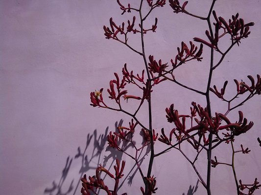 IMG 20130511 104611 445