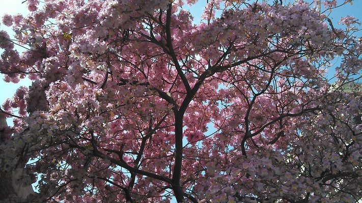 IMG 20130318 130006 488