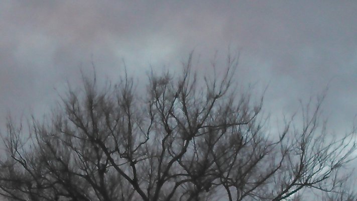 IMG 20130209 172830 446