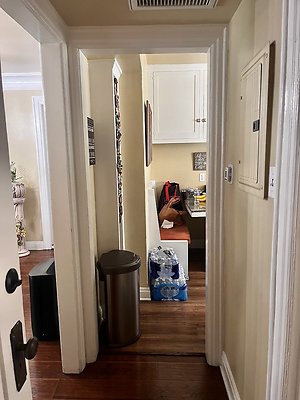 IMG 2618
