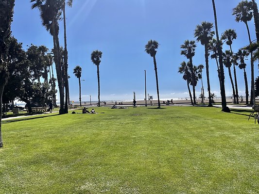 Ocean Park - Area around Barnard Park and Dorothy Green Park